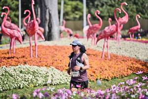 BIB: 
                            <button type="button" onclick="openModal(27793542)" class="btn btn-primary btn-sm float-right btn-popup" data-toggle="modal" data-target=".modal-high-quality">
                        <i class="fas fa-shopping-cart"></i> Add to Cart
                    </button>
                                            <button type="button" onclick="isThisMe(27793542, true)" class="btn btn-success btn-sm float-right btn-popup btn-isme hidden" data-toggle="tooltip" data-placement="bottom" title="นี่คือรูปของคุณใช่ไหม คลิกที่นี่เพื่อเอาเข้าอัลบั้ม">
                        <i class="fas fa-plus"></i> Add to album
                    </button>
                    <button type="button" onclick="isThisMe(27793542, false)" class="btn btn-warning btn-sm float-right btn-popup btn-isnotme hidden">
                        <i class="fas fa-ban"></i> Remove from album
                    </button>